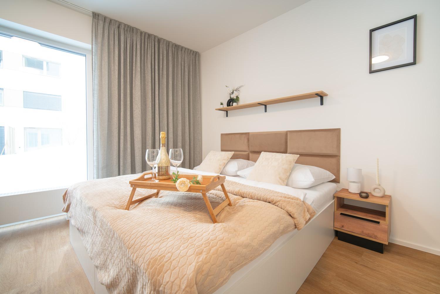 City Relax Apartments With Free Parking, 10 Mins Walk To City Centre Brno Exterior photo